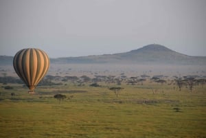 Serengeti National Park: Balloon Safari at Dawn