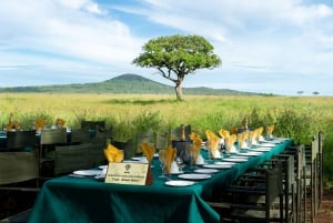 Serengeti National Park: Balloon Safari at Dawn