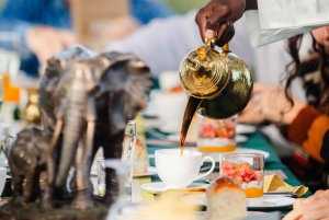 Serengeti National Park: Balloon Safari at Dawn