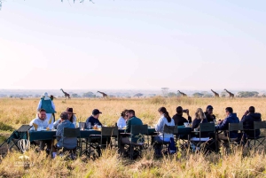 Serengeti National Park: Balloon Safari at Dawn