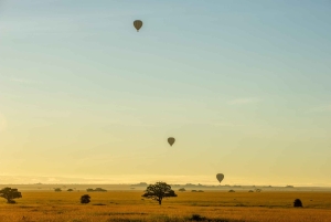 Serengeti National Park: Ballonsafari ved daggry