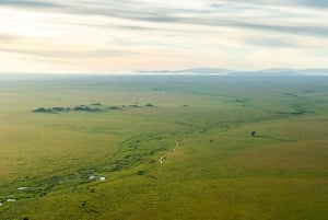 Serengeti National Park: Ballonsafari ved daggry