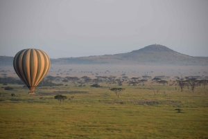 Serengeti National Park: Ballonsafari ved daggry