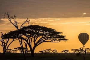 Serengeti National Park: Ballonsafari ved daggry