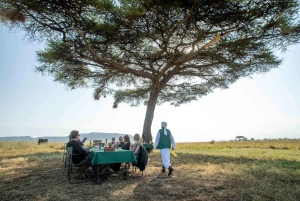 Serengeti National Park: Ballonsafari ved daggry