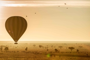 Serengeti National Park: Ballonsafari ved daggry