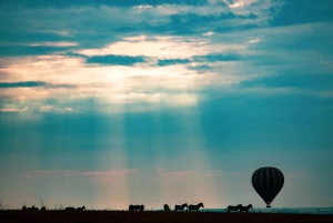 Serengeti National Park: Ballonsafari ved daggry