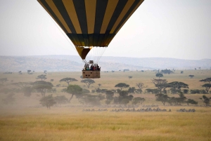 Serengeti National Park: Ballonsafari ved daggry