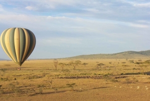 Serengeti National Park: Ballonsafari ved daggry