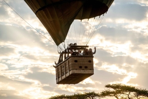 Serengeti National Park: Ballonsafari ved daggry
