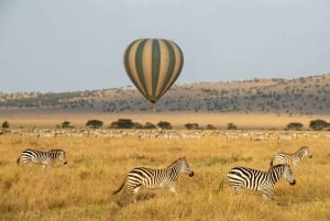 Serengeti National Park: Ballonsafari ved daggry