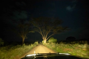 Serengeti National Park: Ballonsafari ved daggry