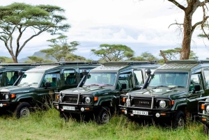 Serengeti National Park: Ballonsafari ved daggry