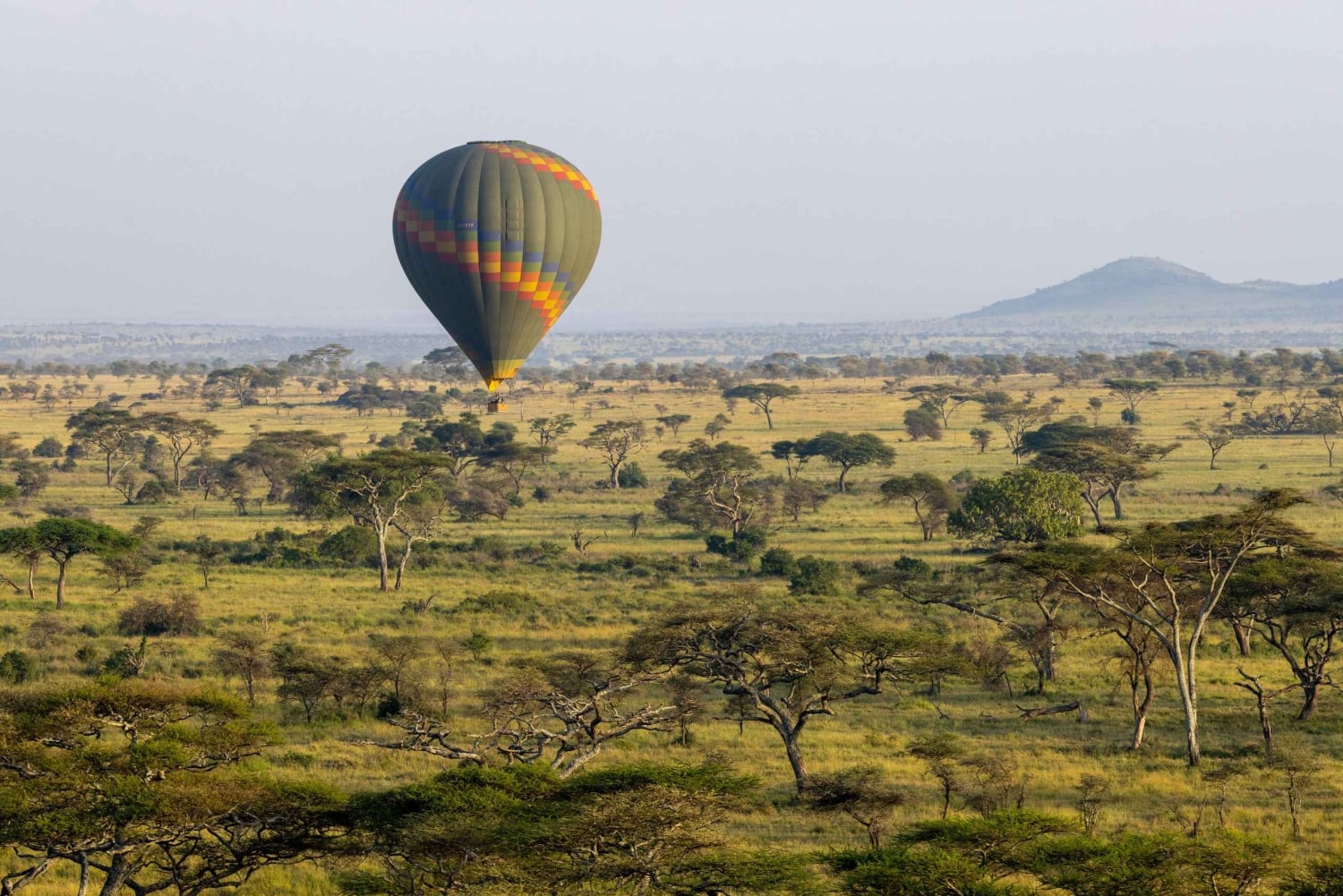 Parco nazionale del Serengeti: safari in mongolfiera tra i Big Five