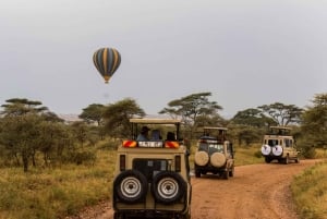 Parco nazionale del Serengeti: safari in mongolfiera tra i Big Five