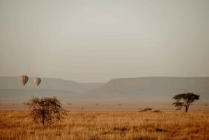 Parco nazionale del Serengeti: safari in mongolfiera tra i Big Five