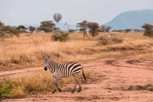 Parco nazionale del Serengeti: safari in mongolfiera tra i Big Five