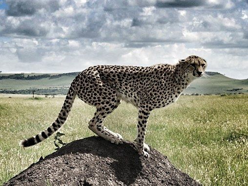 Serengeti National Park