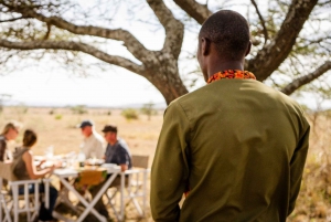 Serengeti & Tarangire Bush Lunch