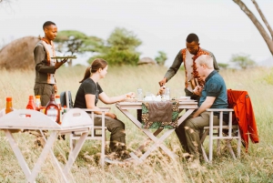 Serengeti & Tarangire Bush Lunch