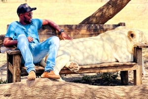 Fra Moshi eller Arusha: Udflugt til Serval Wildlife Sanctuary