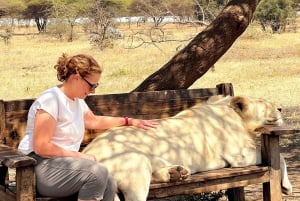 Fra Moshi eller Arusha: Udflugt til Serval Wildlife Sanctuary