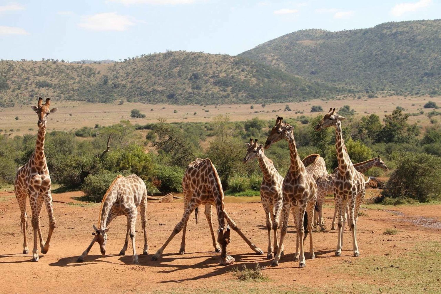 Viagem de 1 dia de comboio SGR: Parque Nacional Mikumi