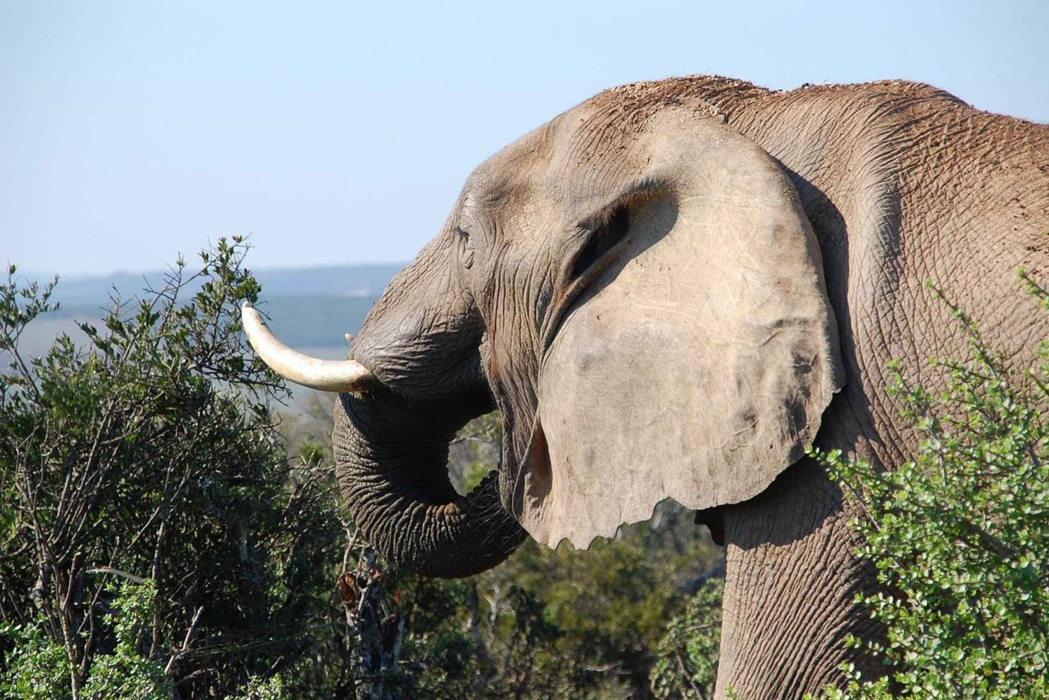 Viagem de 1 dia de comboio SGR: Parque Nacional Mikumi
