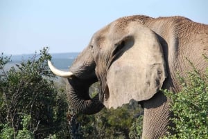 SGR-junan päiväretki: Mikumin kansallispuisto