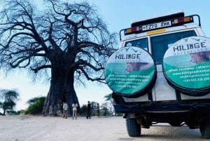 Enkele reis Groot Tanzania Safari- Wildlife Avonturen