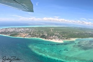 Kendwa: Tandem Skydive in Zanzibar