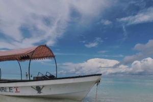 Snorklaus Mnemban riutoilla ja uima seikkailu delfiinien kanssa