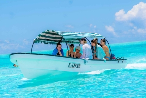 Snorklaus Mnemban riutoilla ja uima seikkailu delfiinien kanssa