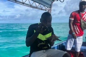 Snorkelen en zwemmen met dolfijnen bij Mnemba Island