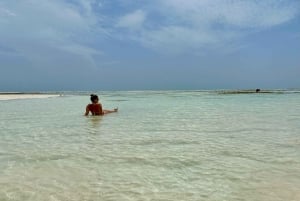 Snorkelen en zwemmen met dolfijnen bij Mnemba Island