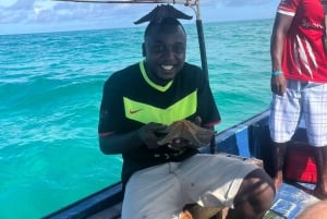 Snorkelen en zwemmen met dolfijnen bij Mnemba Island