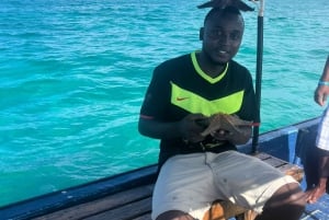 Snorkelen en zwemmen met dolfijnen bij Mnemba Island