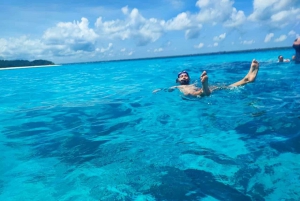 Snorkeling and swimming with dolphins in mnemba island