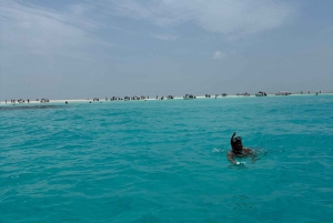 Snorkelen en zwemmen met dolfijnen in mnemba island