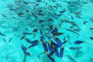 Занзибар: снорклинг в голубой лагуне и экскурсия по рыбе-звезде