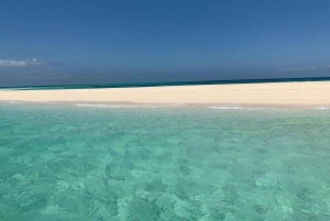 Nurkowanie z rurką, obserwacja delfinów i opcjonalny lunch na wyspie Mnemba