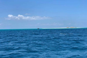 Nurkowanie z rurką, obserwacja delfinów i opcjonalny lunch na wyspie Mnemba