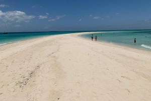 Nurkowanie z rurką, obserwacja delfinów i opcjonalny lunch na wyspie Mnemba