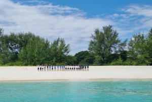 ムンバ島でのシュノーケリングとイルカウォッチング