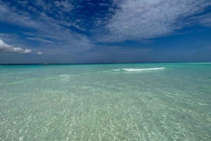 ムンバ島でのシュノーケリングとイルカウォッチング