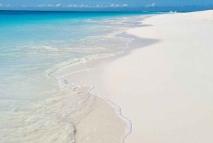 ムンバ島でのシュノーケリングとイルカウォッチング