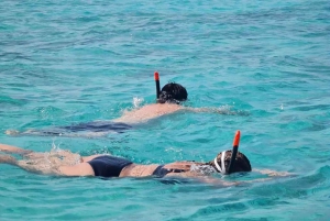 ムンバ島でのシュノーケリングとイルカウォッチング