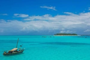 ムンバ島でのシュノーケリングとイルカウォッチング