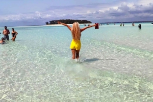 ムンバ島でのシュノーケリングとイルカウォッチング