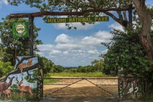 Southern: 3 Day Mikumi National Park Safari Package